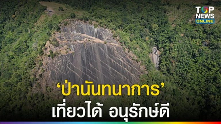 ป่านันทนาการ