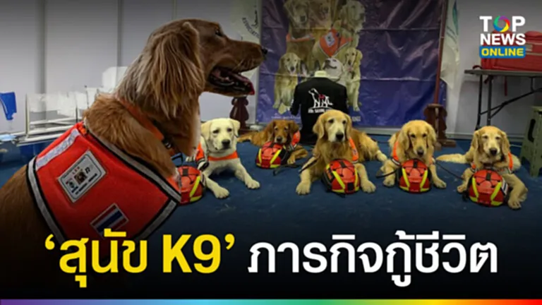 สุนัข k9