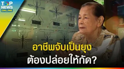 จับเป็น "ยุง" ปล่อยให้กัด อาชีพ "รำภา รัตนฤทธิกุล" ป่วยไข้มาลาเรียหนัก ๆ หลายหน