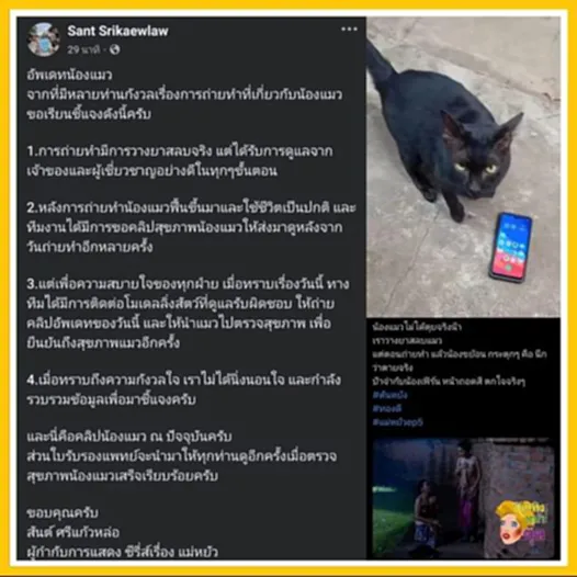 เพจวอชด็อกไทยแลนด์