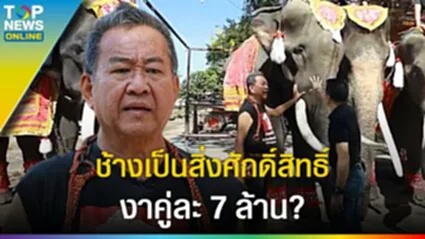 เจาะลึก "ช้างไทย" เป็นสิ่งศักดิ์สิทธิ์? ดุหรือใจดี สุดช็อกมูลค่างาคู่ละ 7 ล้าน+