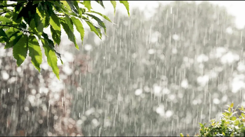 ฝนถล่ม