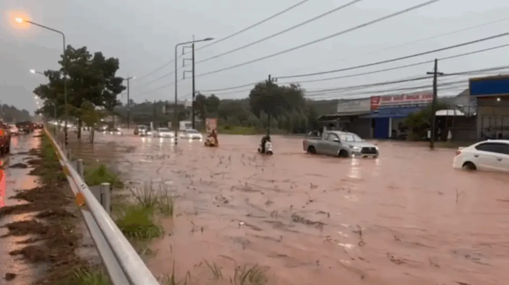 ฝนถล่มสุราษฎร์ฯ