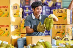 THAILAND-CHANTHABURI-DURIAN