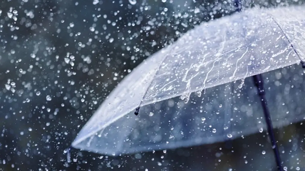 ฝนถล่ม