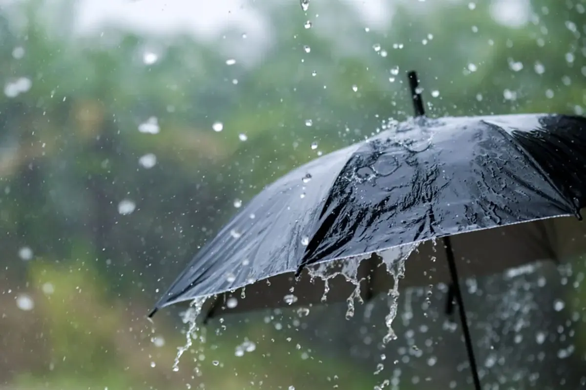 ฝนตกหนัก