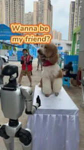 หุ่นยนต์ถูกหมาเมิน