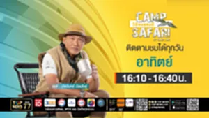 CAMP SAFARI วิถีคนแคมป์ | 27 กรกฎาคม 2568 | FULL | TOP NEWS