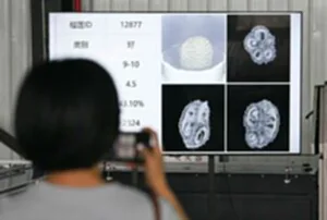 CHINA-HAINAN-SANYA-DURIANS-AI SORTING (CN)