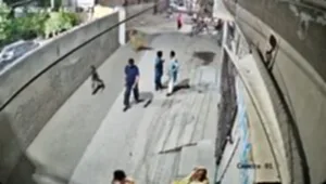 สิงโตหลุดจากกรงเศรษฐีปากี