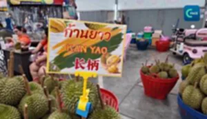 ห่วงโซ่อุปทานสีเขียวหนุนผู้ส่งออกทุเรียนไทย
