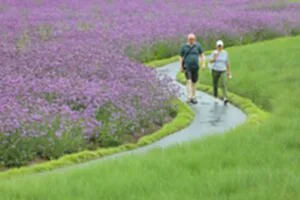 #CHINA-SUMMER SCENERY-FLOWERS (CN)