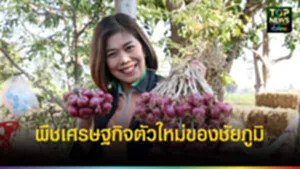 ปก
