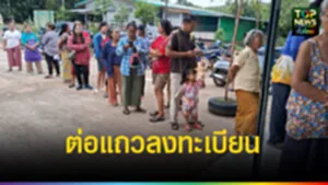 ปก