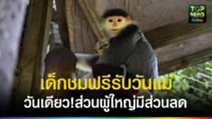25680809001