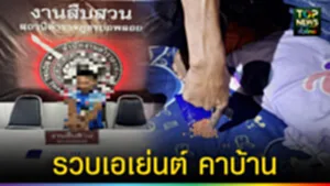 TOPNEWS website - update 2025