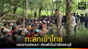 TOPNEWS website - update 2025