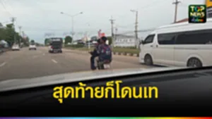 ปก