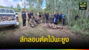 ปก