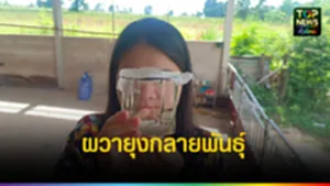 ปก