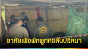 TOPNEWS website - update 2025 (20)