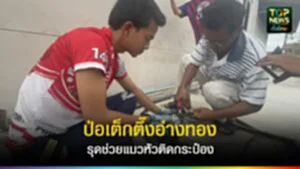 TOPNEWS website - update 2025 (29)