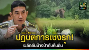 TOPNEWS website - update 2025