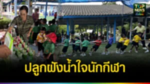 dvdvve