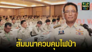 TOPNEWS website - update 2025