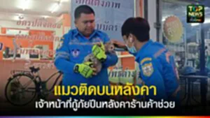 TOPNEWS website - update 2025 (9)