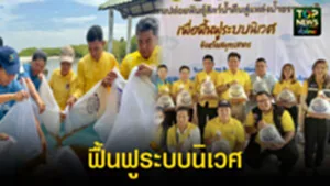 TOPNEWS website - update 2025