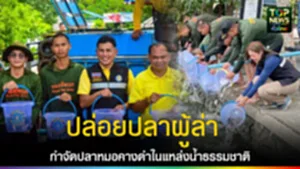 TOPNEWS website - update 2025