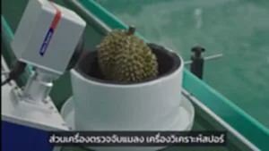 จีนปลูกทุเรียนใข้เทคโนขั้นสูง