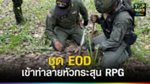 ปก