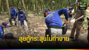 ปก2