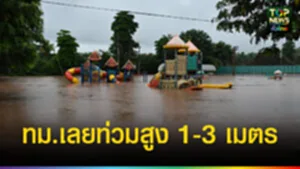 ปก