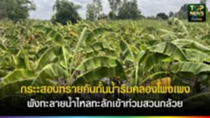 TOPNEWS website - update 2025 (5)