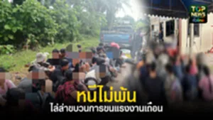 TOPNEWS website - update 2025