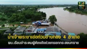 TOPNEWS website - update 2025 (9)