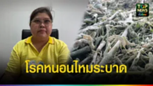 ปก