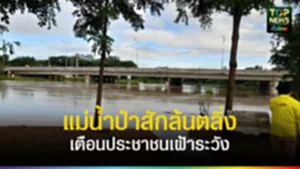 TOPNEWS website - update 2025 (6)