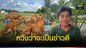 ปก