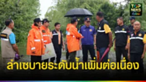 ปก