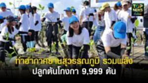 TOPNEWS website - update 2025 (5)
