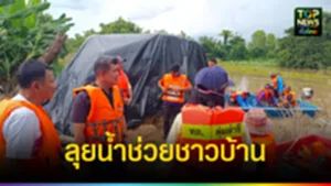 ปก