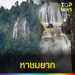เฟซ