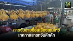 TOPNEWS website - update 2025 (4)