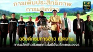 TOPNEWS website - update 2025 (16)