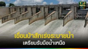 TOPNEWS website - update 2025 (2)