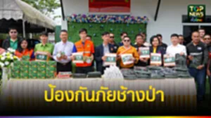 dvdvd